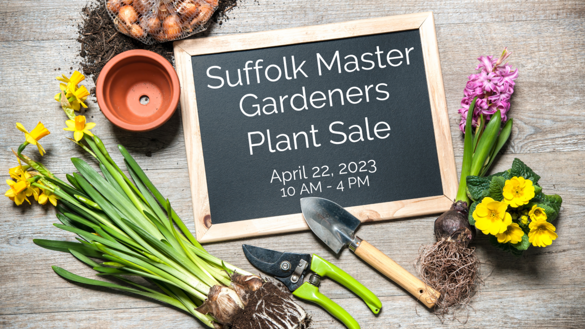 Suffolk Master Gardeners Plant Sale