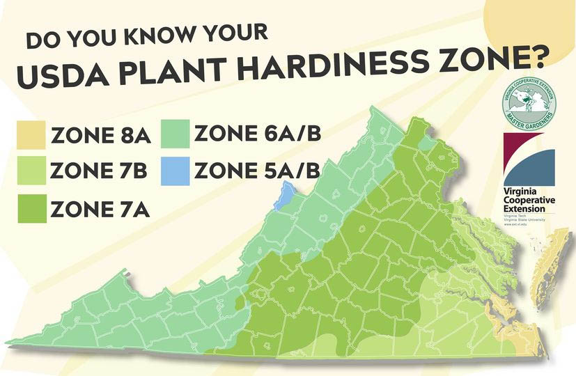 Virginia Plant Hardiness Zones