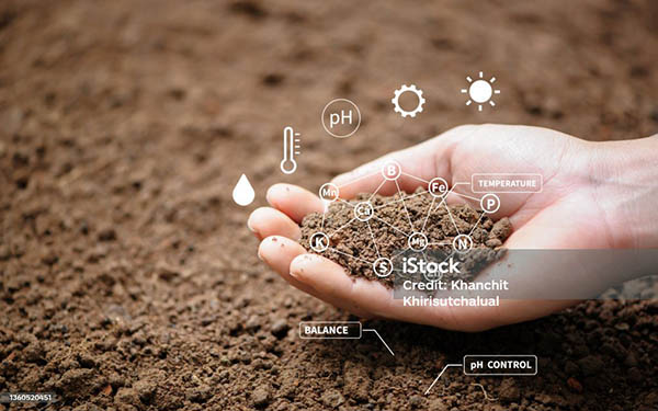 Soil components