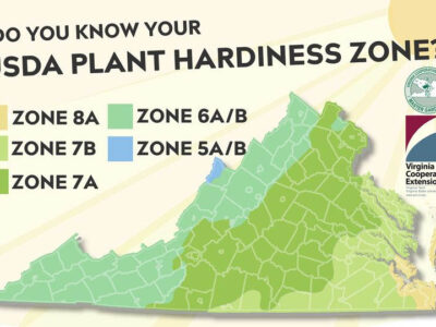 Virginia Plant Hardiness Zones