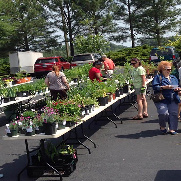 Customers enjoying plant sale