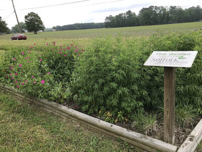 Garden at Liberty Spring Ruritan Park