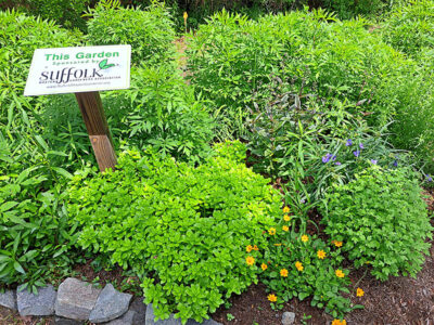 Sign and garden plantings at Seaboard Coastline Trail – Pughesville