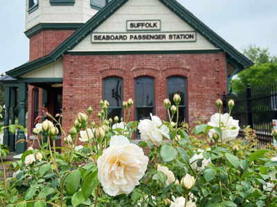 Seaboard Station Rose Garden