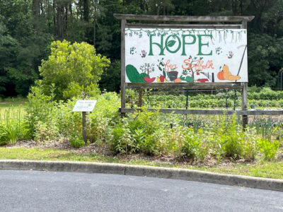 Hope sign at Westminster Garden
