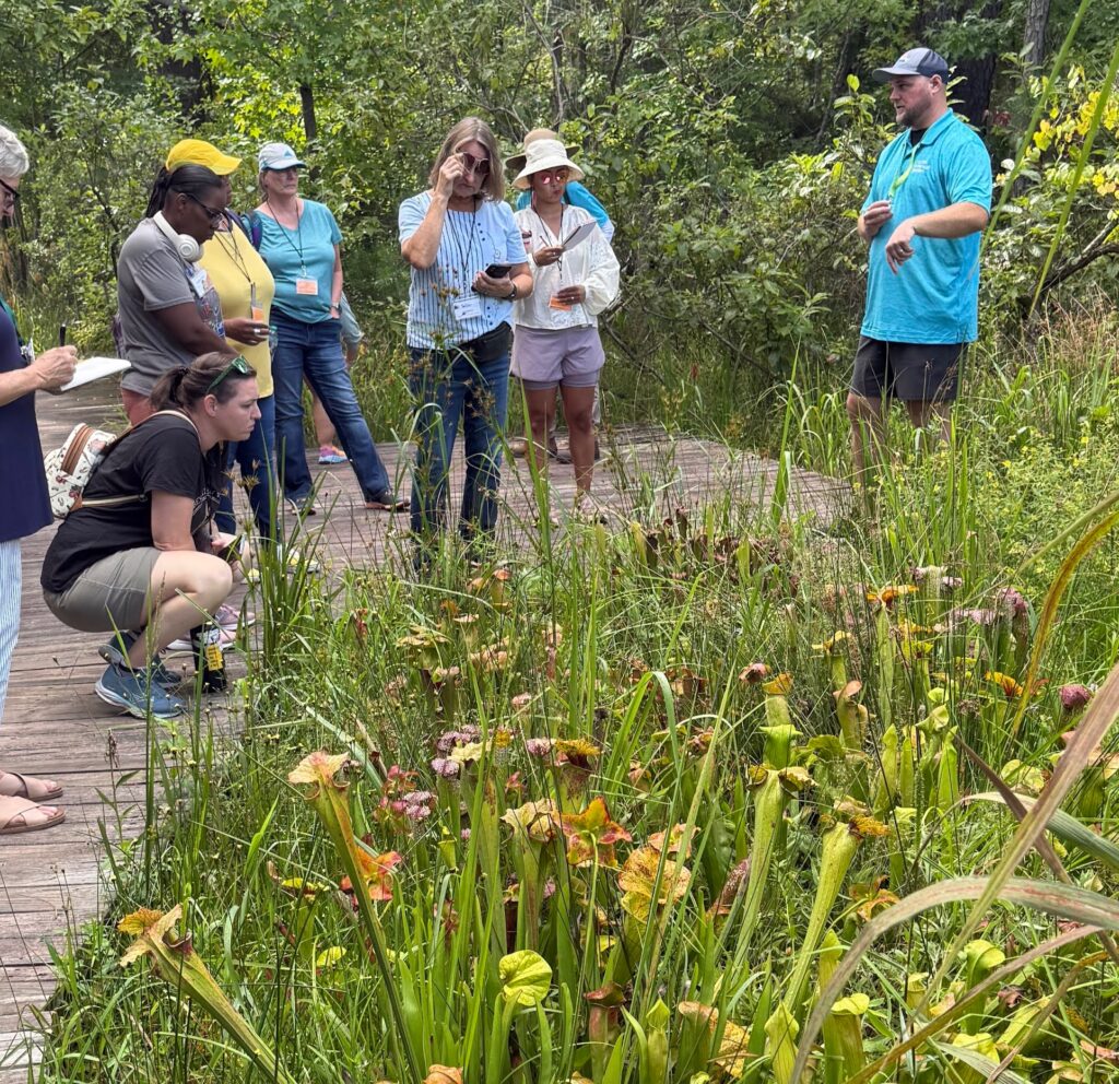 People looking at pitcher plants and listening to a tour guide.