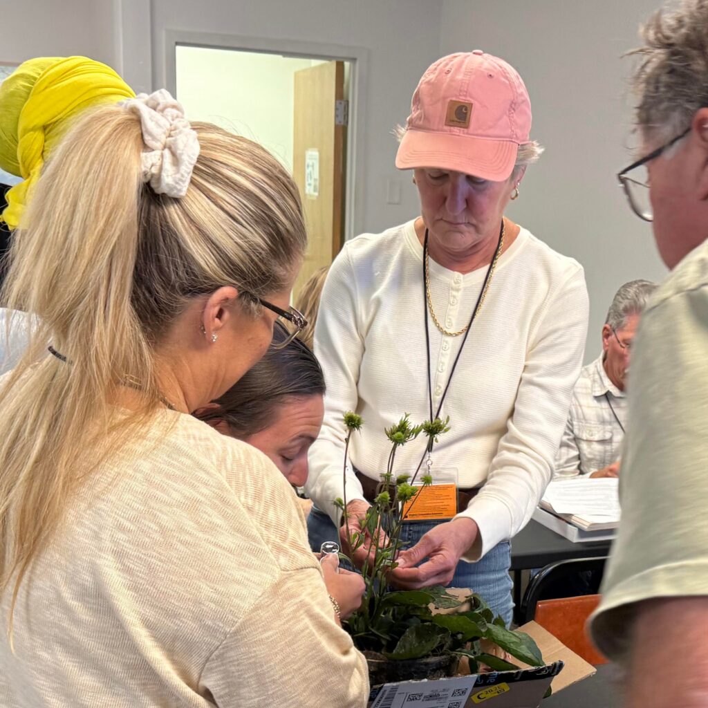 People examining a diseased plant using loupes.